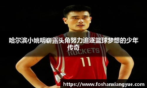 哈尔滨小姚明崭露头角努力追逐篮球梦想的少年传奇