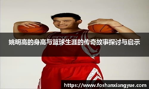 姚明高的身高与篮球生涯的传奇故事探讨与启示