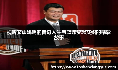 视听文山姚明的传奇人生与篮球梦想交织的精彩故事