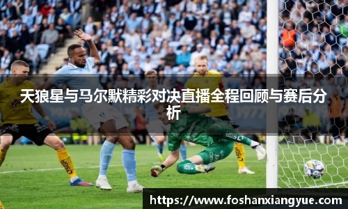 天狼星与马尔默精彩对决直播全程回顾与赛后分析