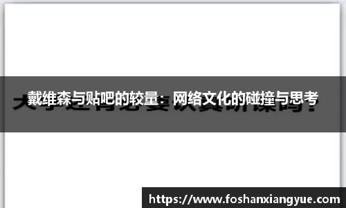 戴维森与贴吧的较量：网络文化的碰撞与思考