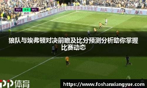 狼队与埃弗顿对决前瞻及比分预测分析助你掌握比赛动态